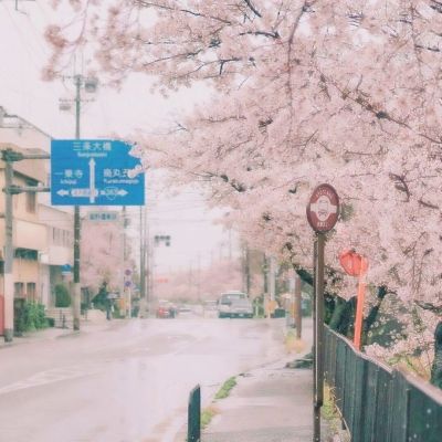 屠鲲霸业手游下载